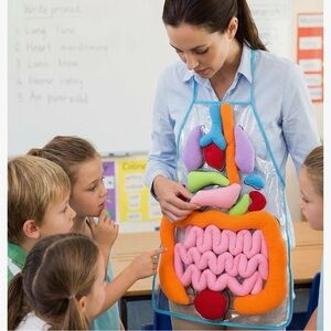 Colorful Educational Anatomy Apron